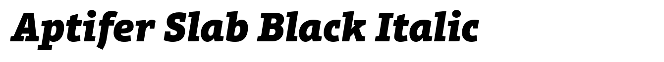 Aptifer Slab Black Italic